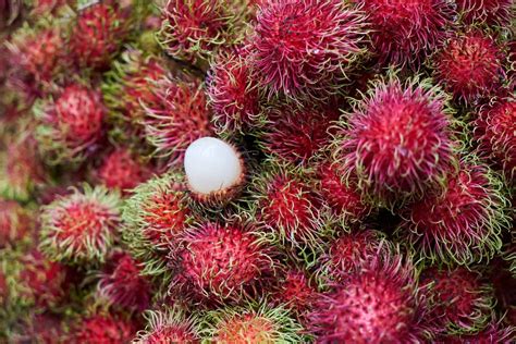 the weirdest fruit|77 Weird Exotic Fruits You Didn't Know Existed .